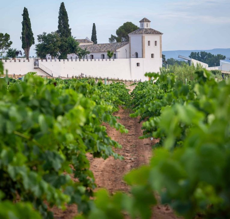 enoturismo-requena-finca-calderon-bodega-sierra-norte-cata-vino-2048x1365